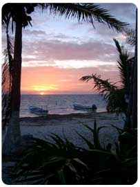 sunset beach stock photo
