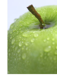 apples - a microstock cliche