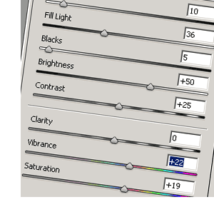 camera raw sliders